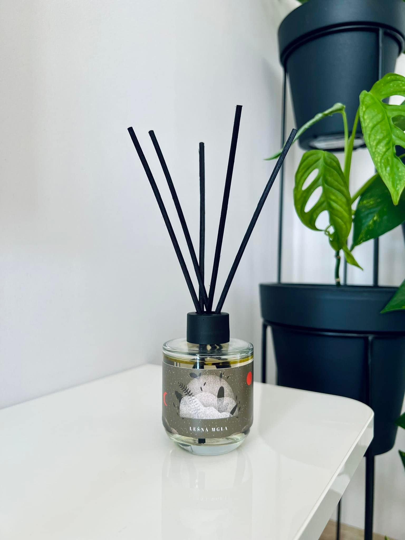 Leśna Mgła | Naturalny dyfuzor zapachowy 2.0