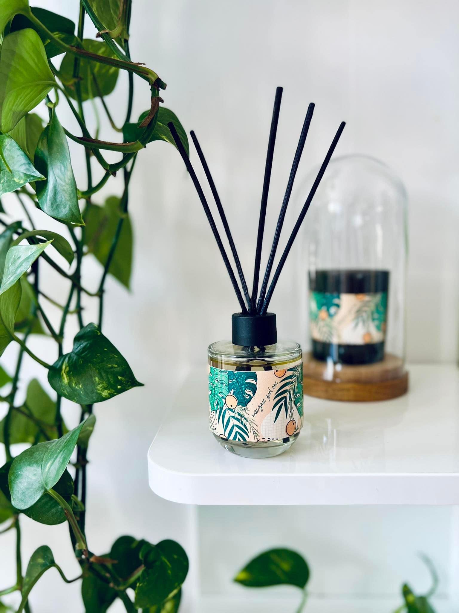 Wiecznie zielone | Naturalny dyfuzor zapachowy 2.0