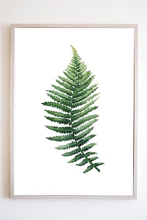 Smukły liść paproci