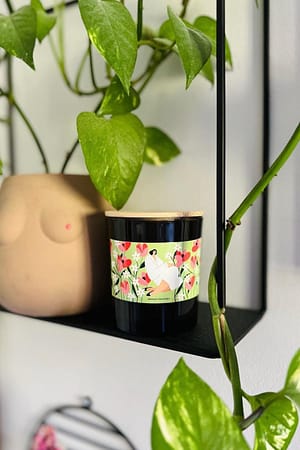 Rozkwit świeżości