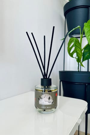 Leśna Mgła | Naturalny dyfuzor zapachowy 2.0